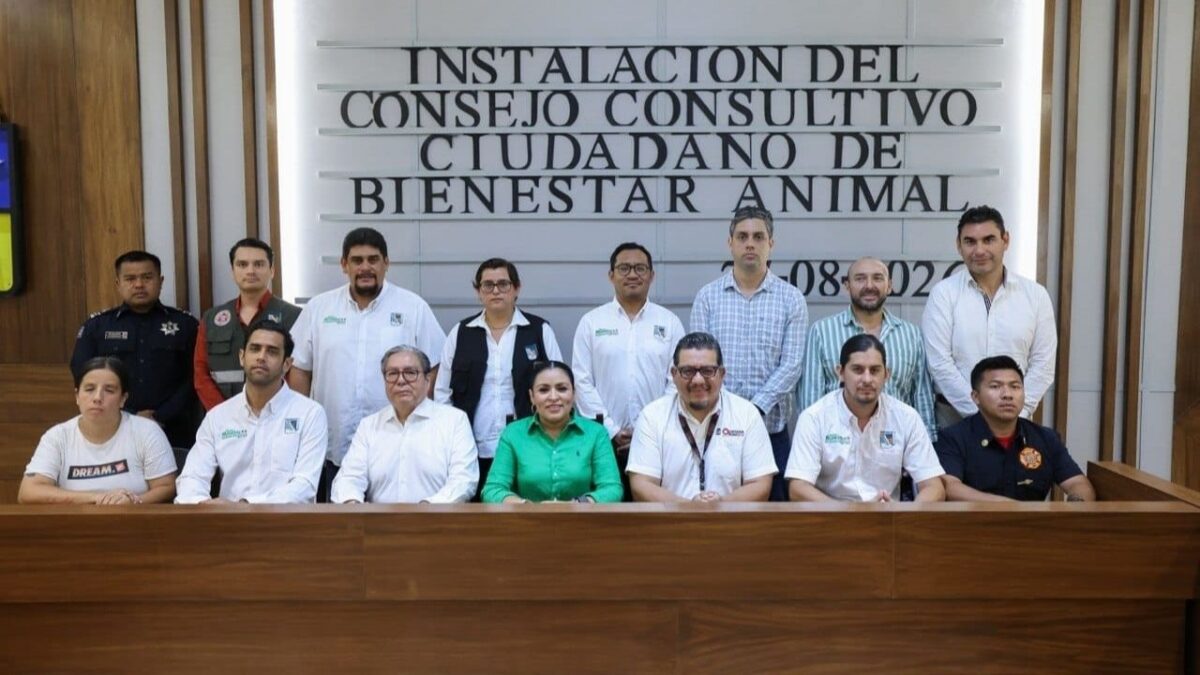Instalan Consejo Consultivo de Bienestar Animal en Puerto Morelos