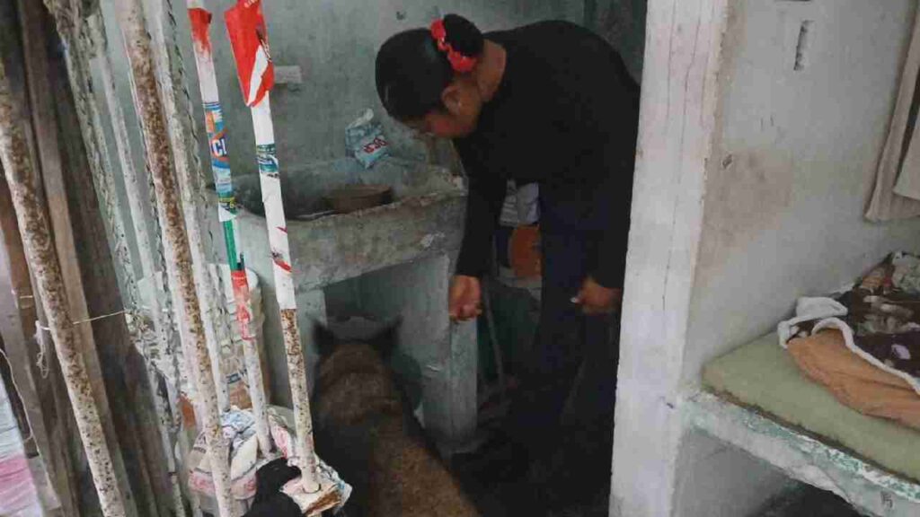 Decomisan celulares, diversos aparatos y droga tras un operativo en Centro Penitenciario de Chetumal