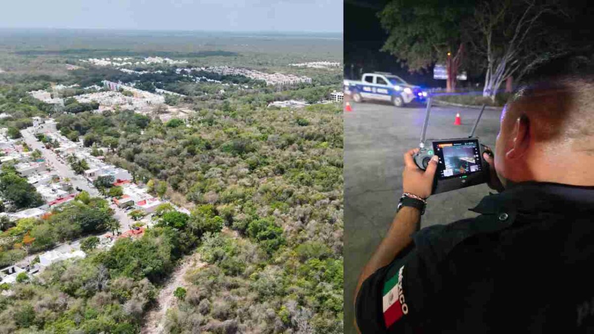 Descartan incendios forestales en Puerto Morelos.