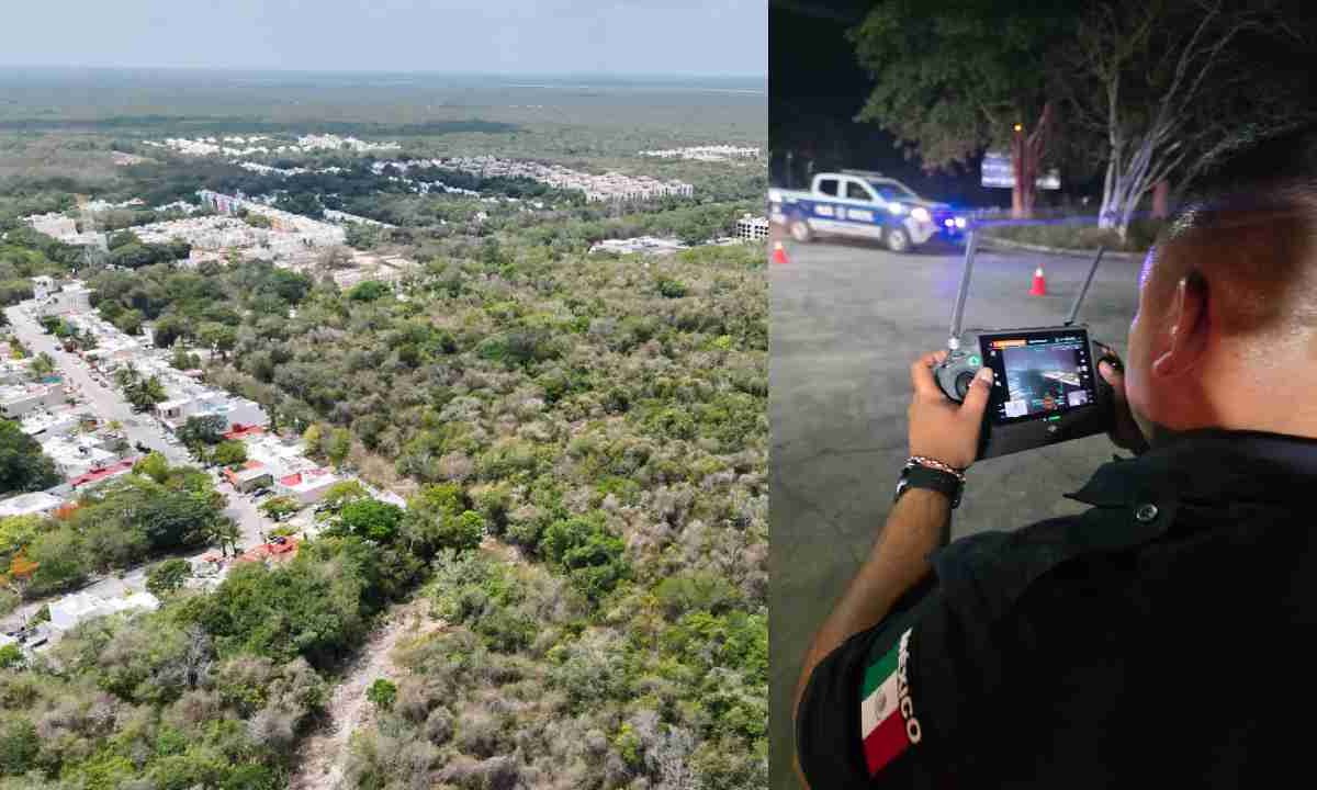 Descartan incendios forestales en Puerto Morelos.