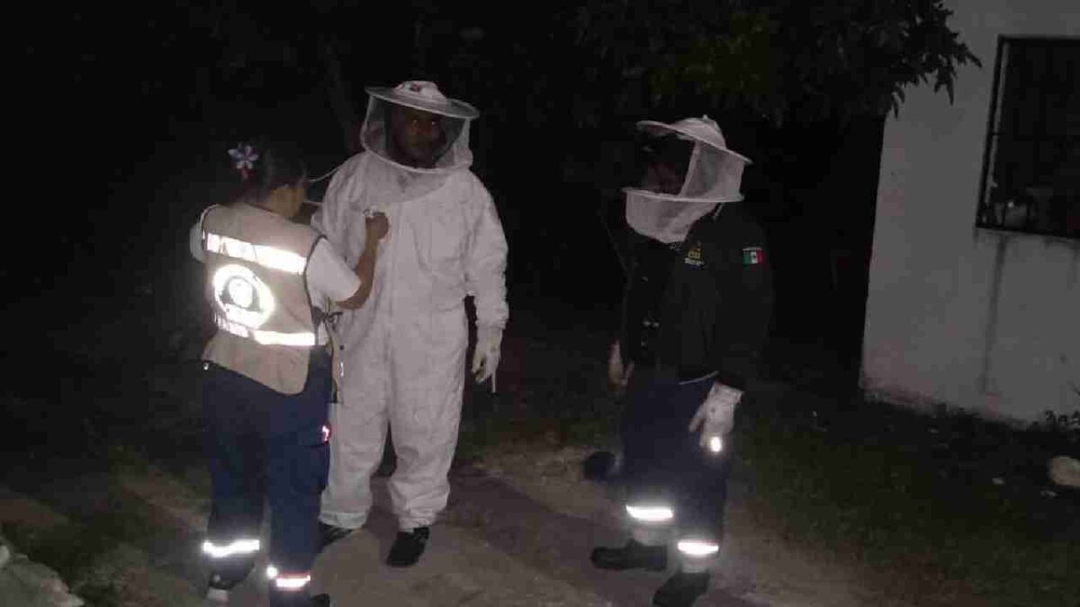 Expertos atendieron la emergencia.