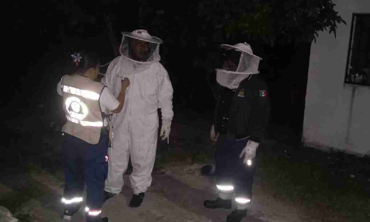 Expertos atendieron la emergencia.