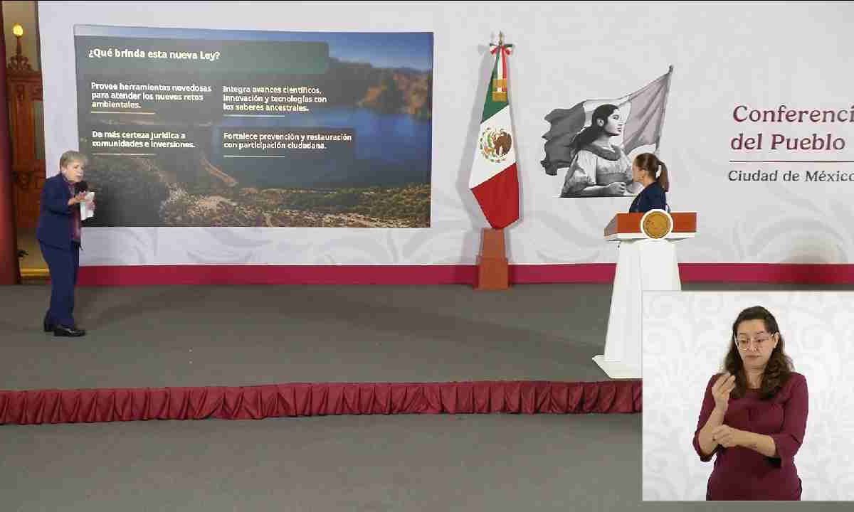 Ley ambiental tiene 10 nuevos principios.