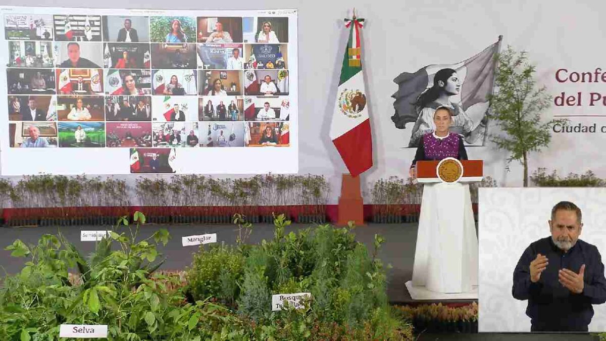 Anuncian Jornada Nacional de Reforestación.