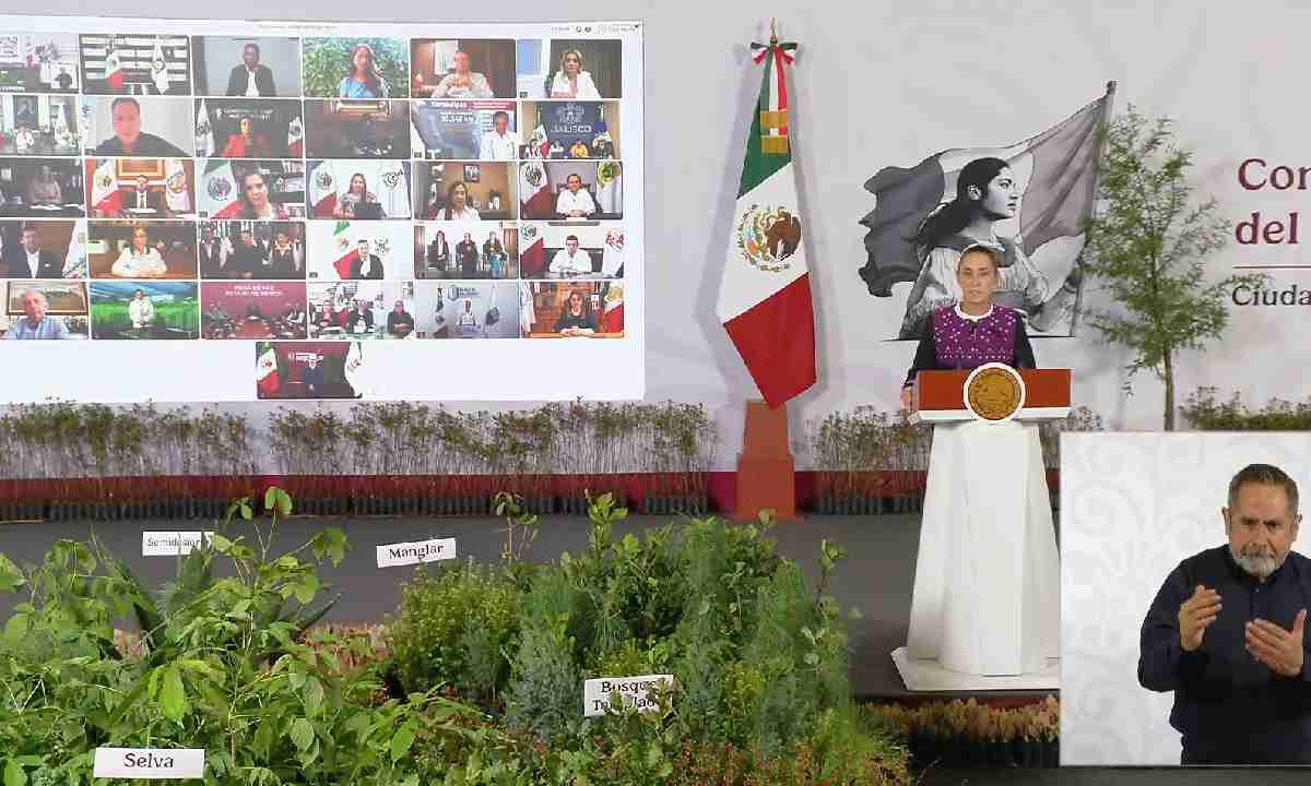 Anuncian Jornada Nacional de Reforestación.