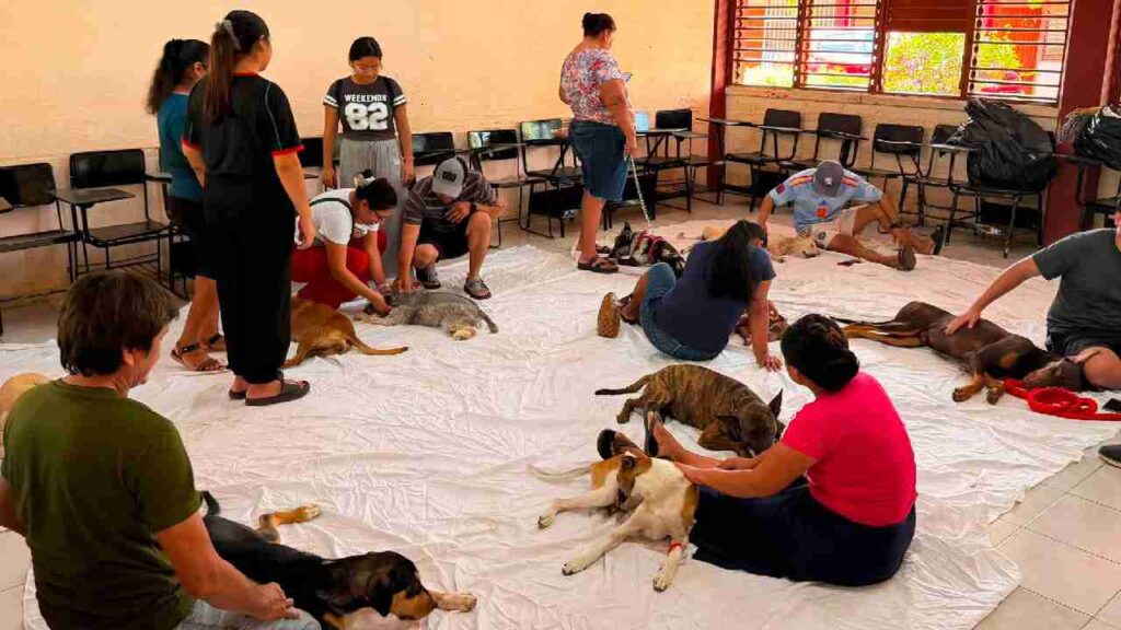 Jornada de esterilización en Leona Vicario promueve el bienestar de "lomitos" y "michis"