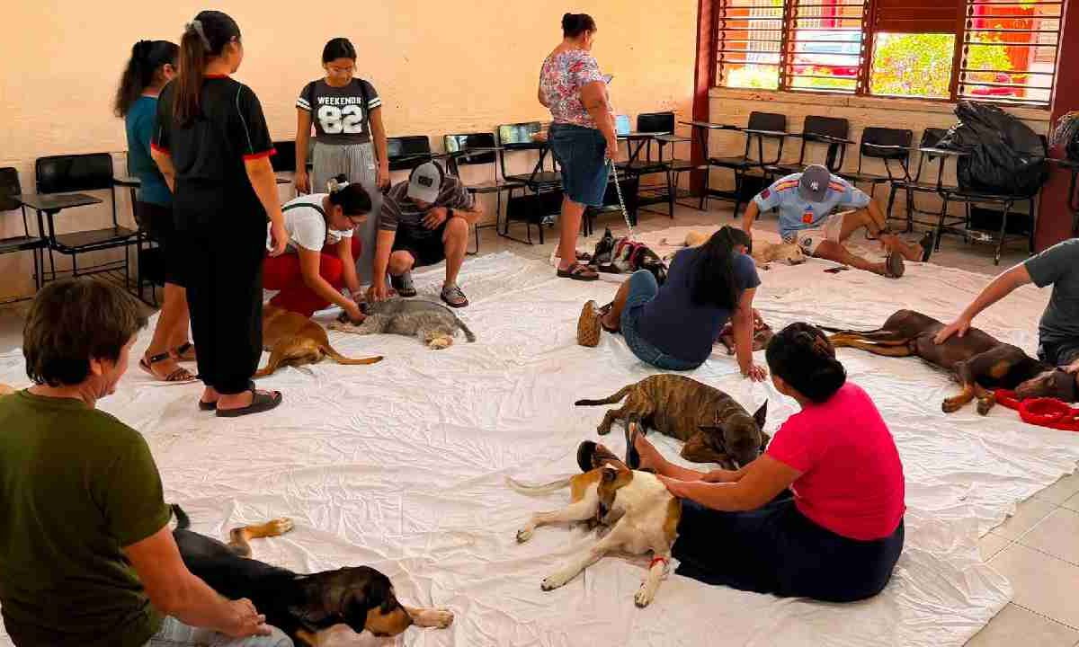 Leona Vicario tuvo jornada de esterilización.