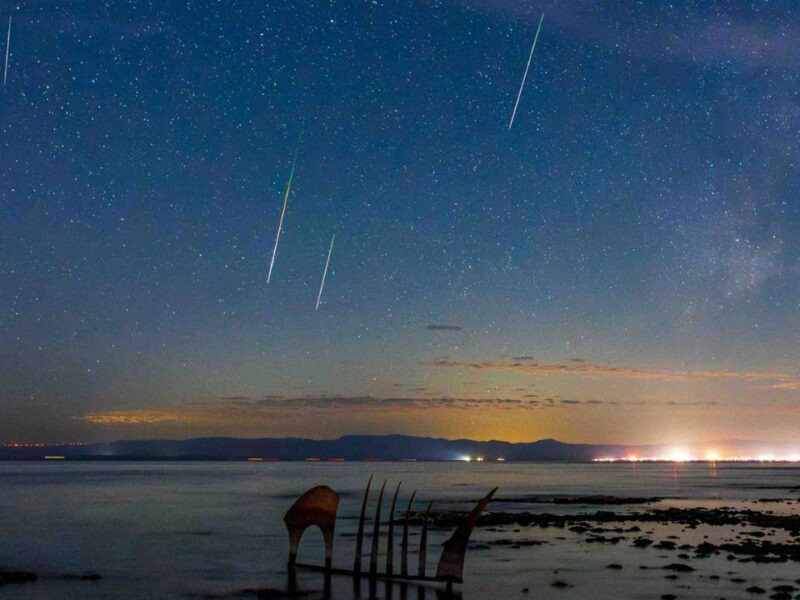 Lluvia de meteoros Perseidas en Quintana Roo: mejor hora y consejos para verlas