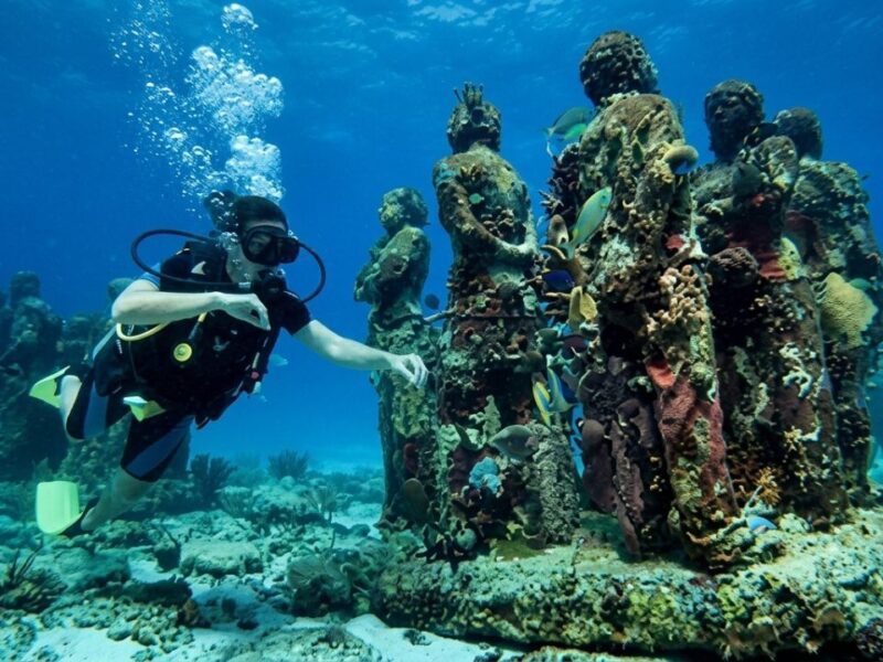 MUSA Cancún pierde 20% de reservas este verano: sargazo y falta de promoción, los factores