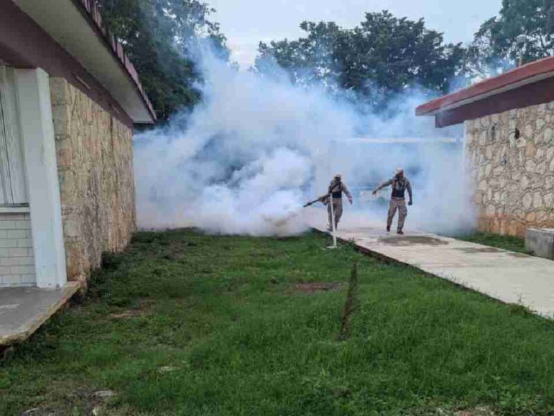 Refuerzan fumigación en escuelas de Cancún previo al regreso a clases el próximo lunes