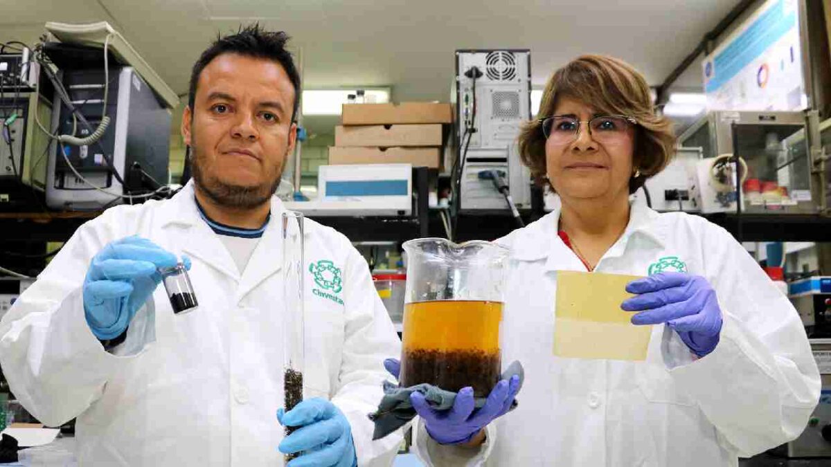 Lidera Quintana Roo estudio del sargazo.