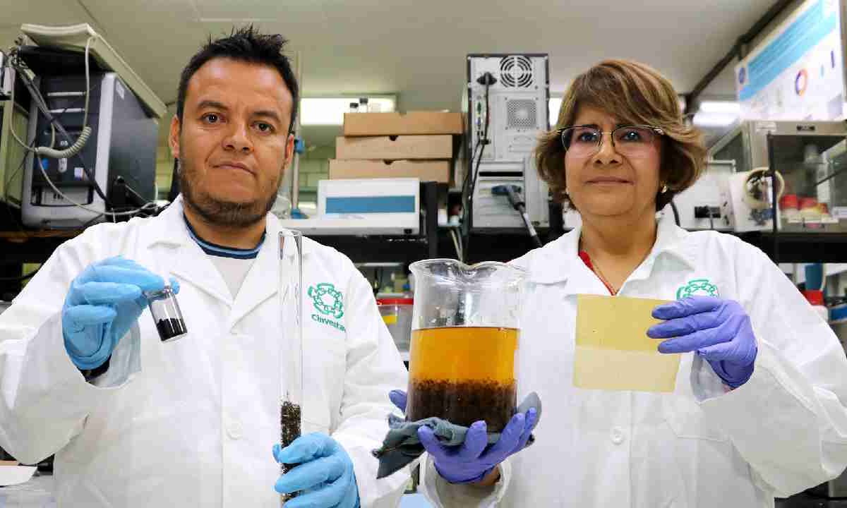 Lidera Quintana Roo estudio del sargazo.