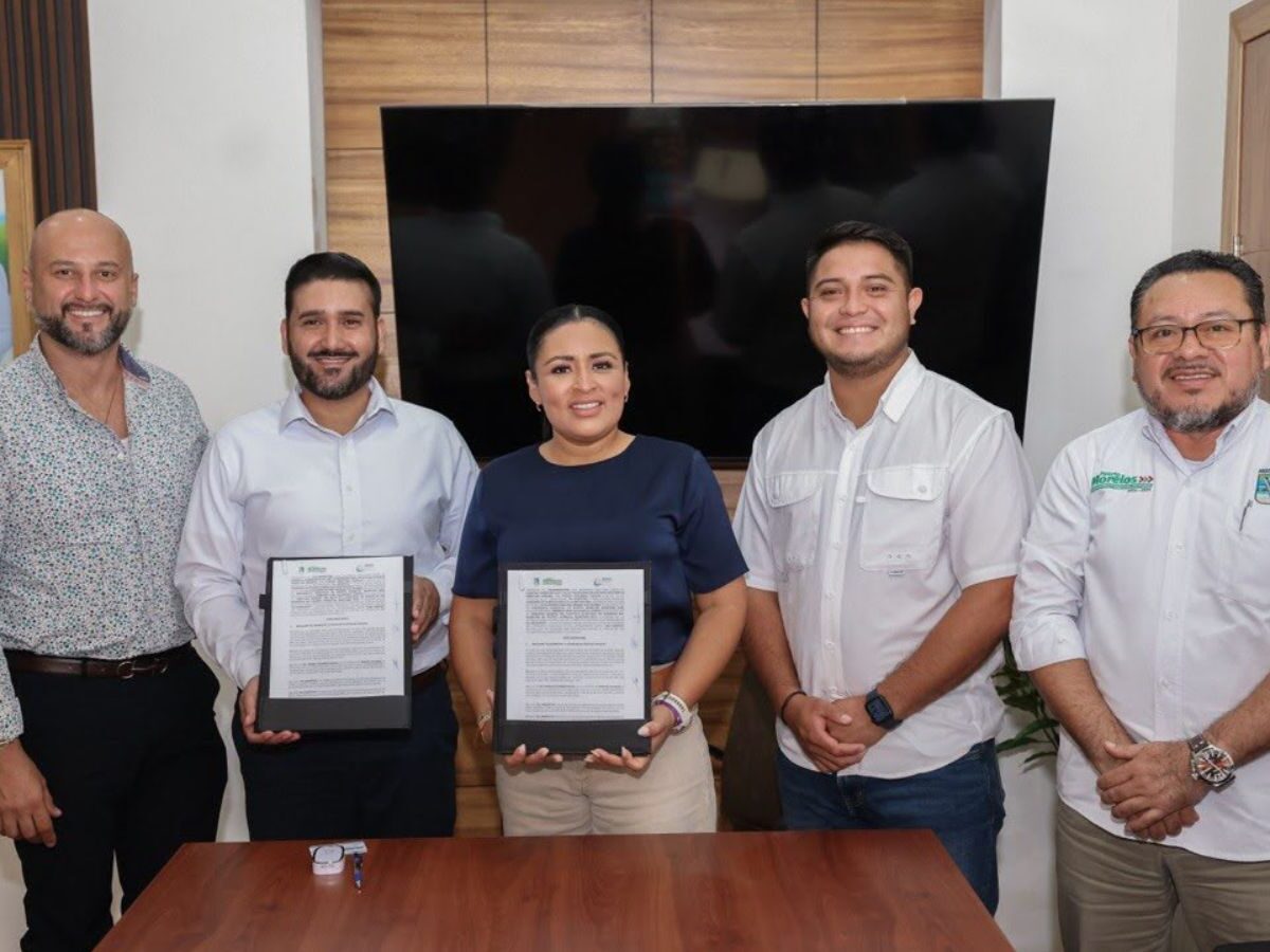 Cómo tramitar la Tarjeta Salud Joven en Puerto Morelos: guía