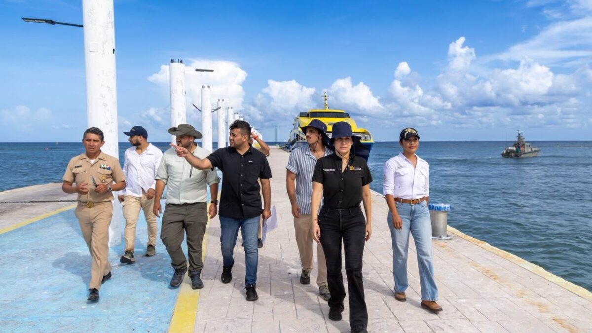 Estrategia integral contra el sargazo arranca en Playa del Carmen
