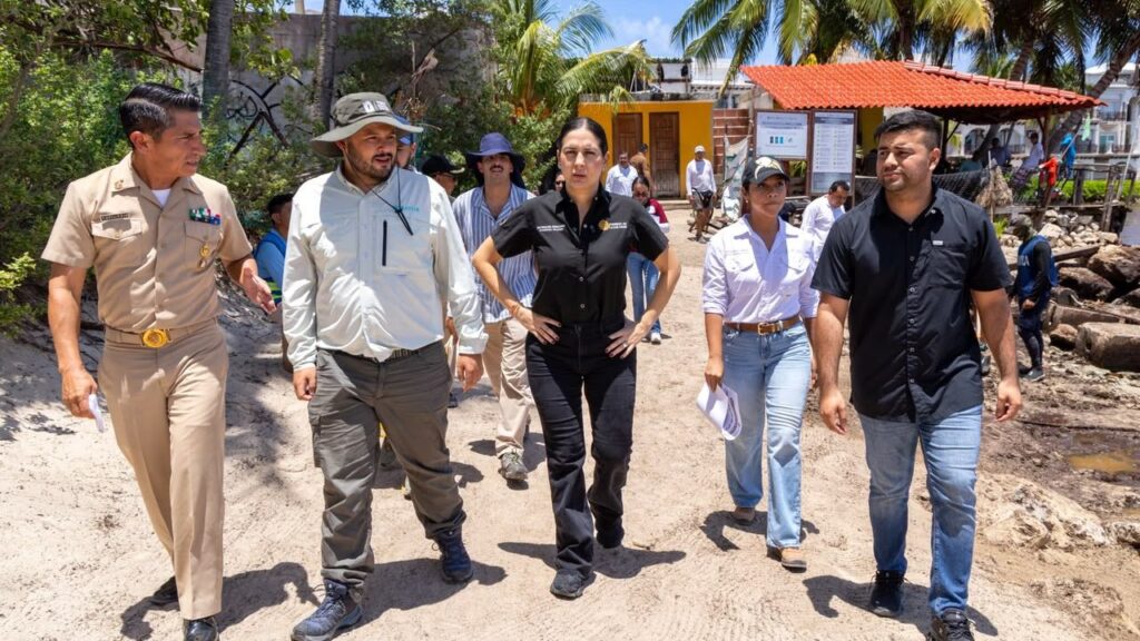 Estrategia integral contra el sargazo arranca en Playa del Carmen