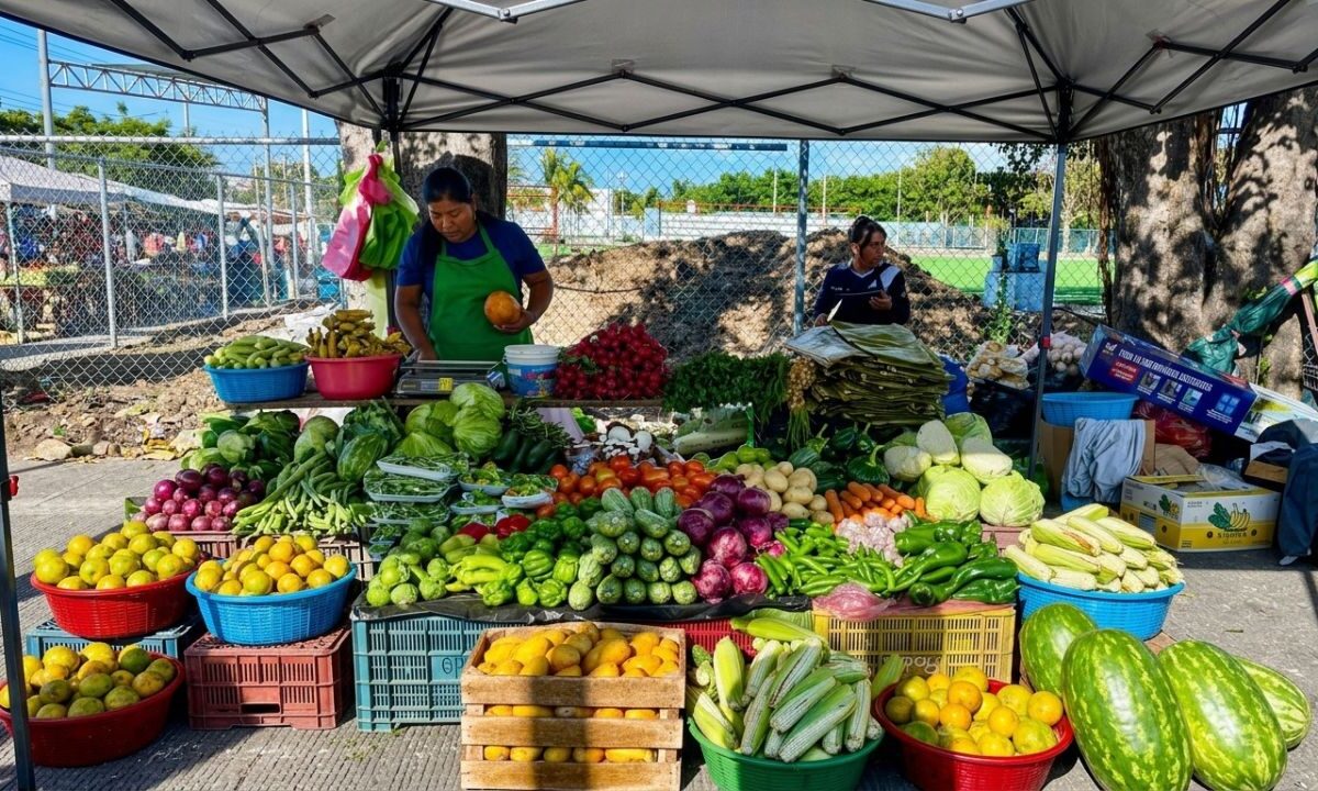 Inflación en Quintana Roo se dispara al triple del promedio nacional