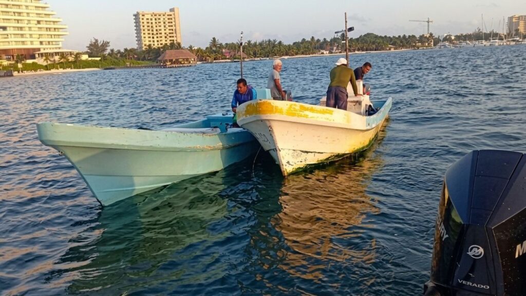 Aseguran 320 kilos de pesca irregular en Puerto Juárez