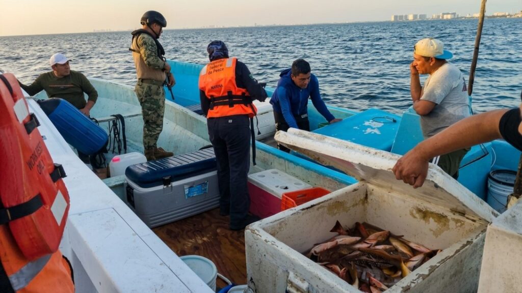 Aseguran 320 kilos de pesca irregular en Puerto Juárez