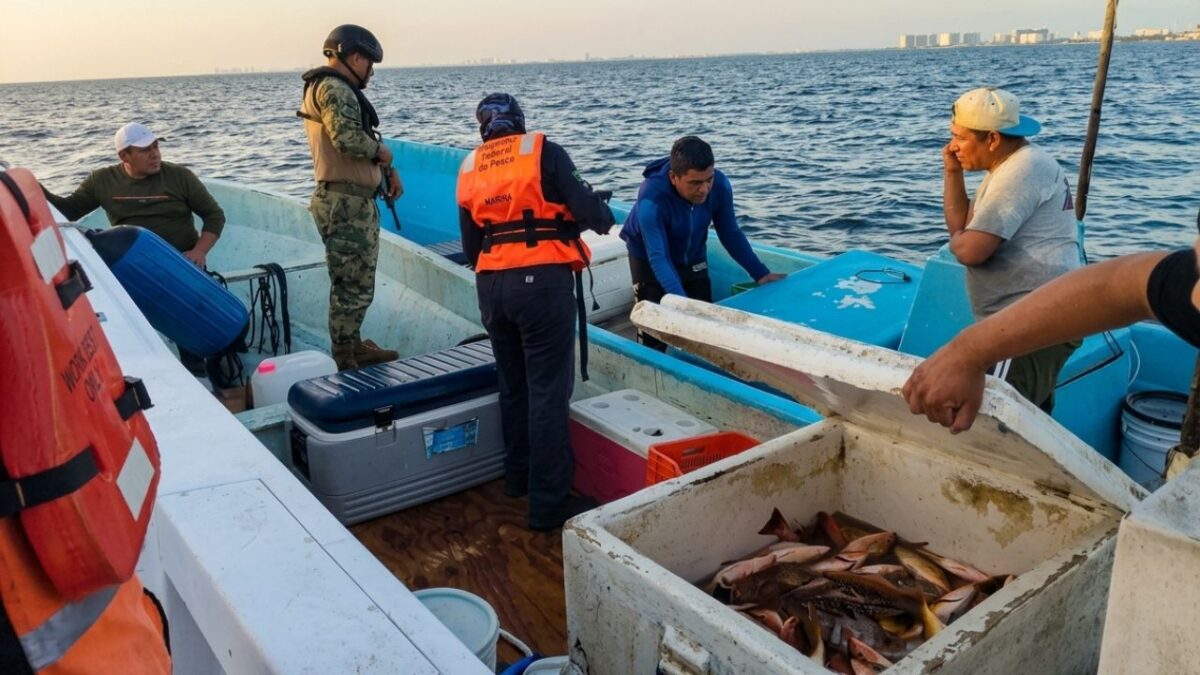 Aseguran 320 kilos de pesca irregular en Puerto Juárez