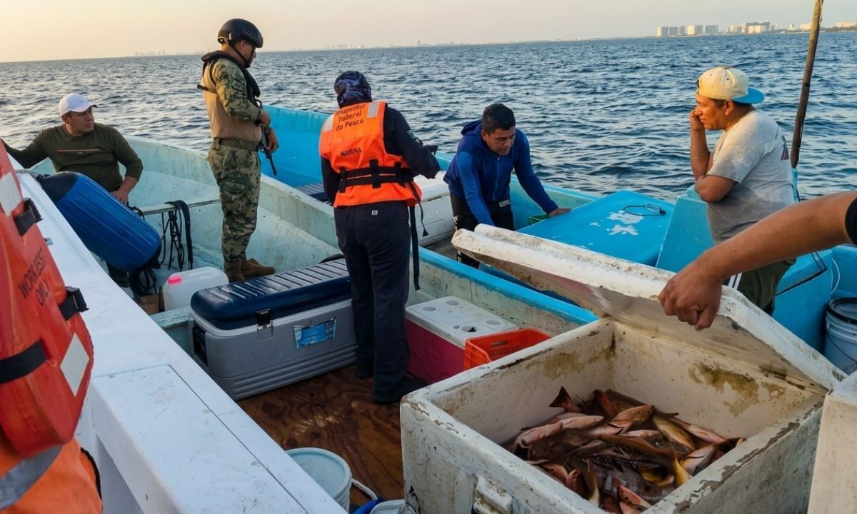 Aseguran 320 kilos de pesca irregular en Puerto Juárez