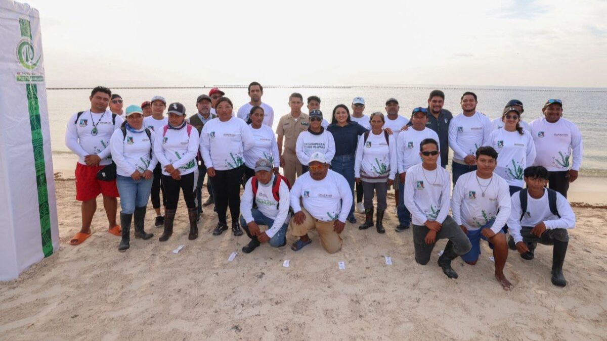 Equipan brigadas para combatir sargazo en Puerto Morelos