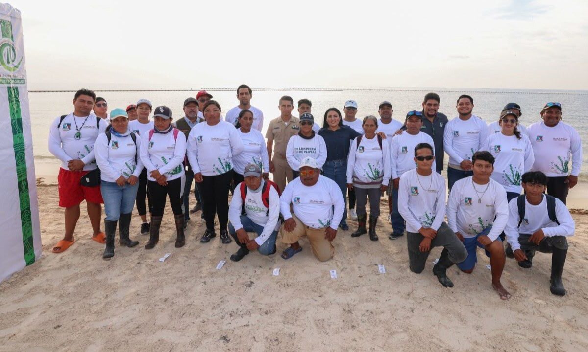 Equipan brigadas para combatir sargazo en Puerto Morelos