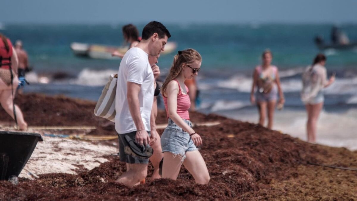 Turismo en riesgo: CNET pide frenar el sargazo y certeza jurídica