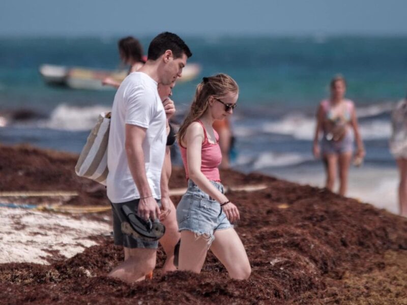 Turismo en riesgo: CNET pide frenar el sargazo y devolver la certeza jurídica a Quintana Roo