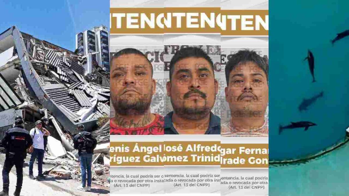 Últimas noticias.