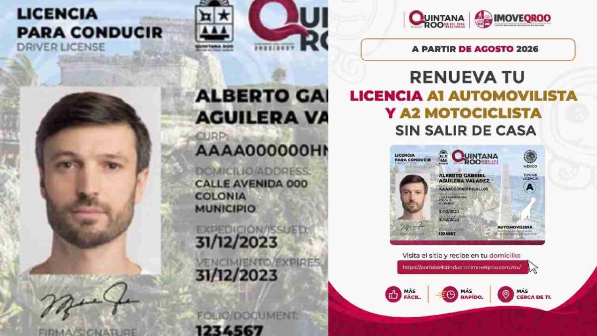 Puedes tramitar la licencia en línea.