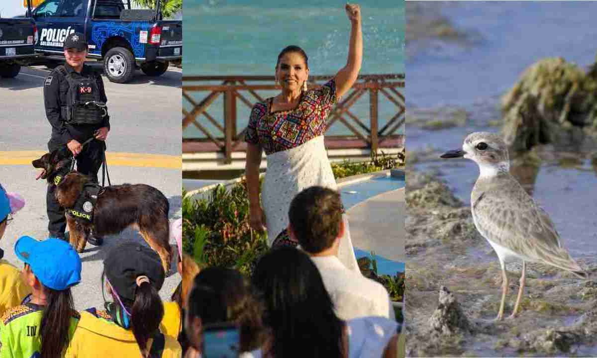 Últimas noticias 7 de septiembre.