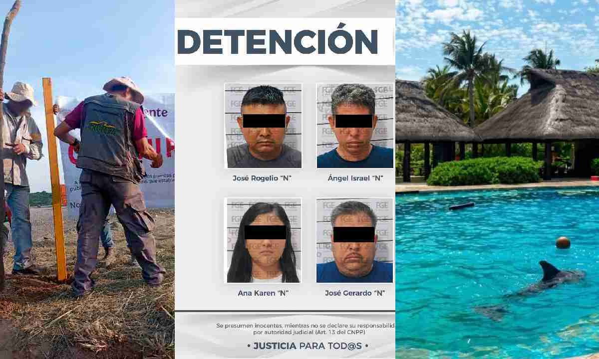 Últimas noticias.