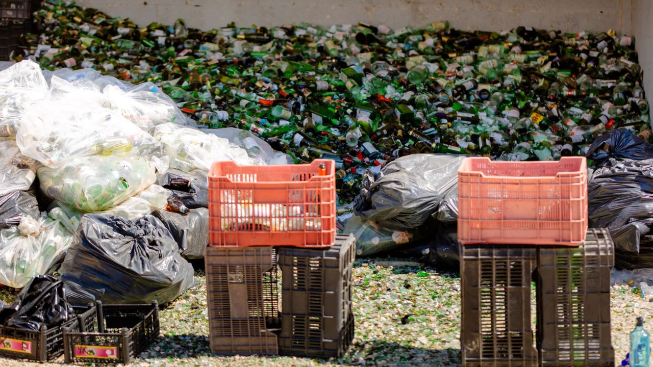 Centro de acopio permanente en Tulum: dónde llevar tu reciclaje
