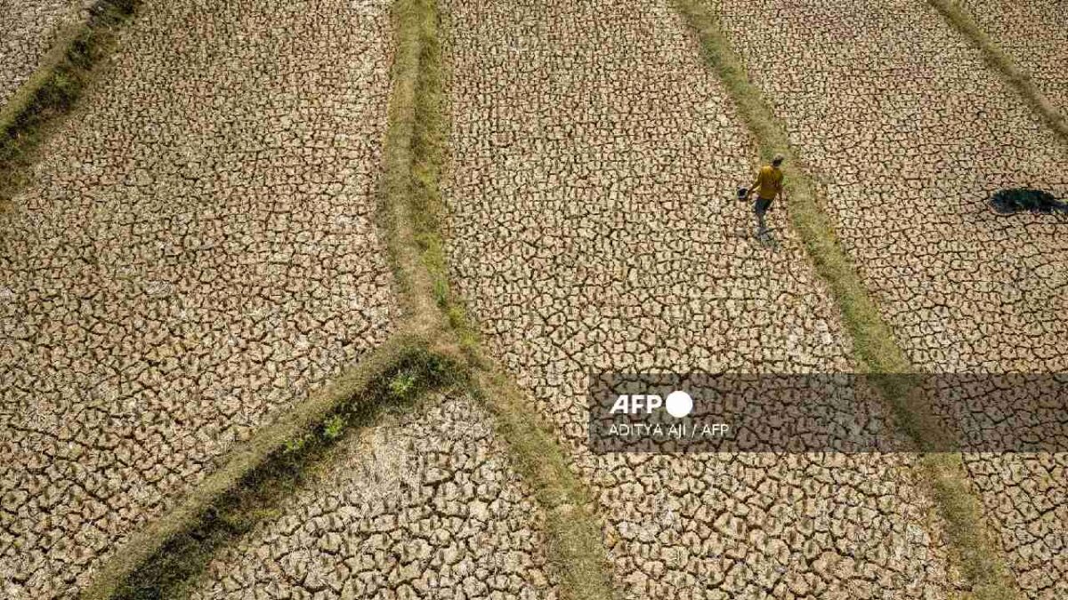 El Niño afecta más allá del clima.