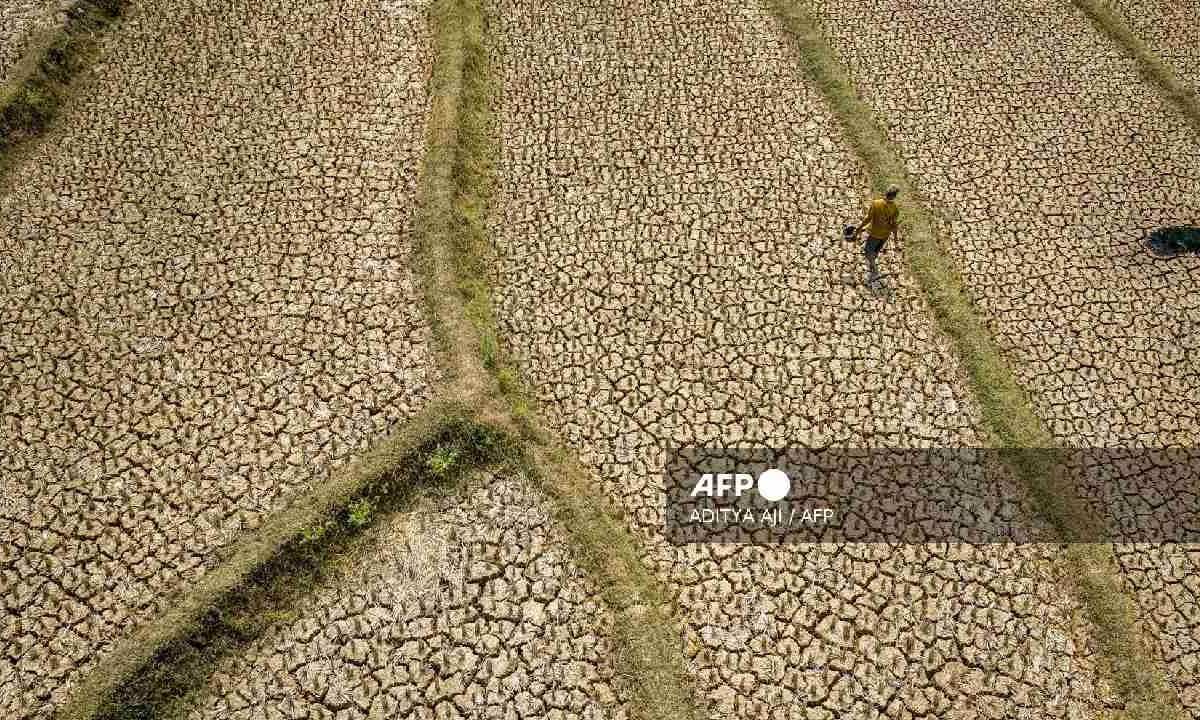 El Niño afecta más allá del clima.