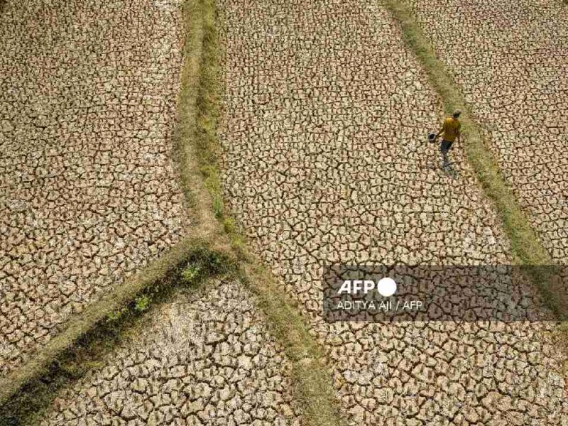 El Niño prende las alertas: OMS advierte riesgos para la salud en todo el mundo