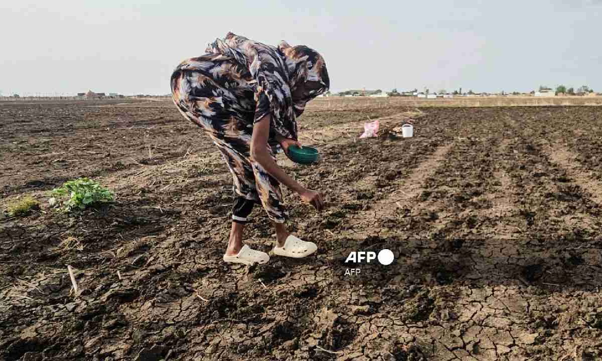 El Niño traerá más problemas.