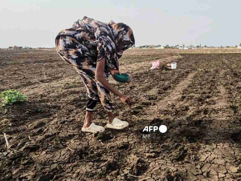 Fenómeno de El Niño será "muy fuerte" y podría extenderse hasta febrero, alerta la ONU