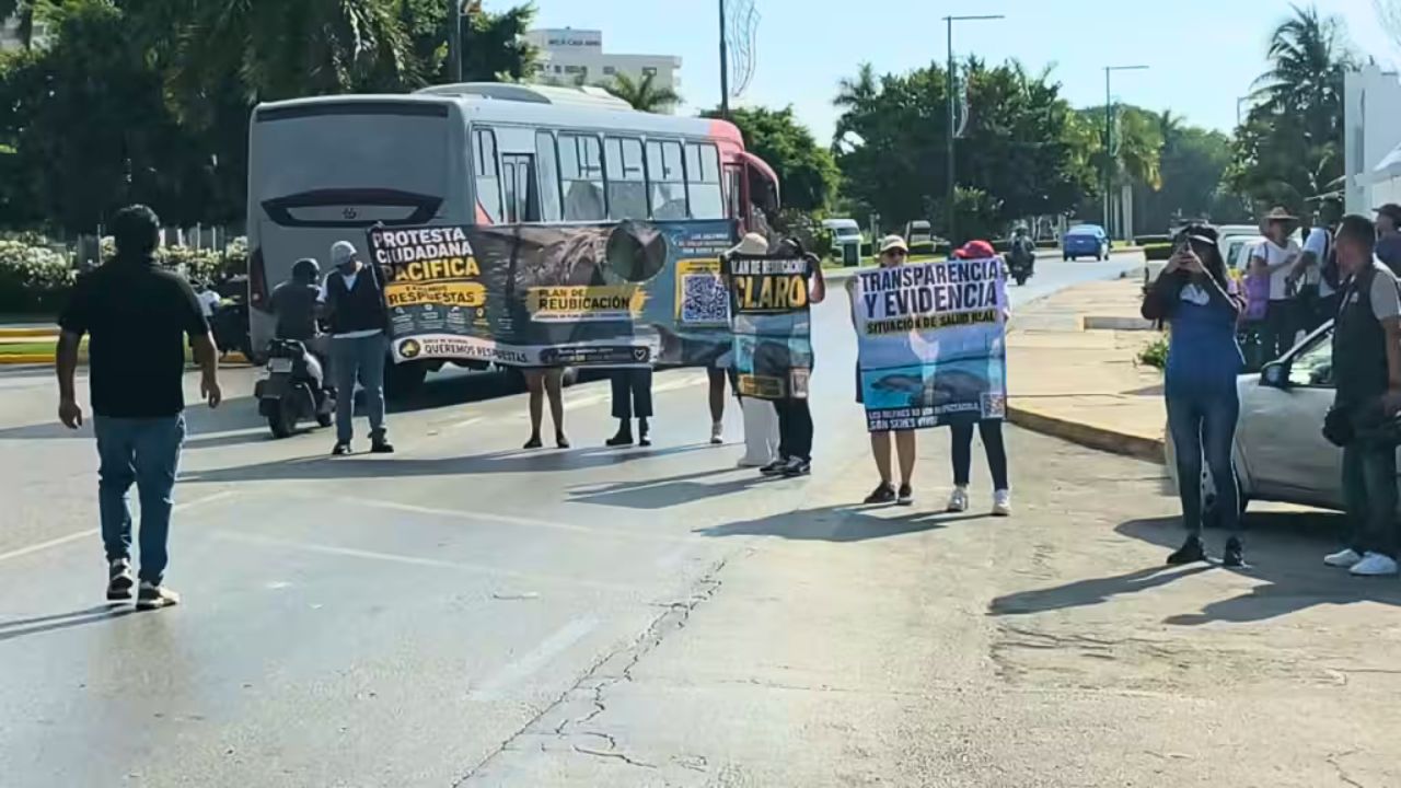 Delfines de Ventura Park en Cancún, con estado de salud delicado