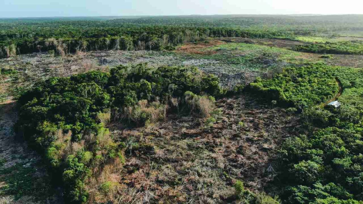 Denuncian daño ecológico en Bacalar.