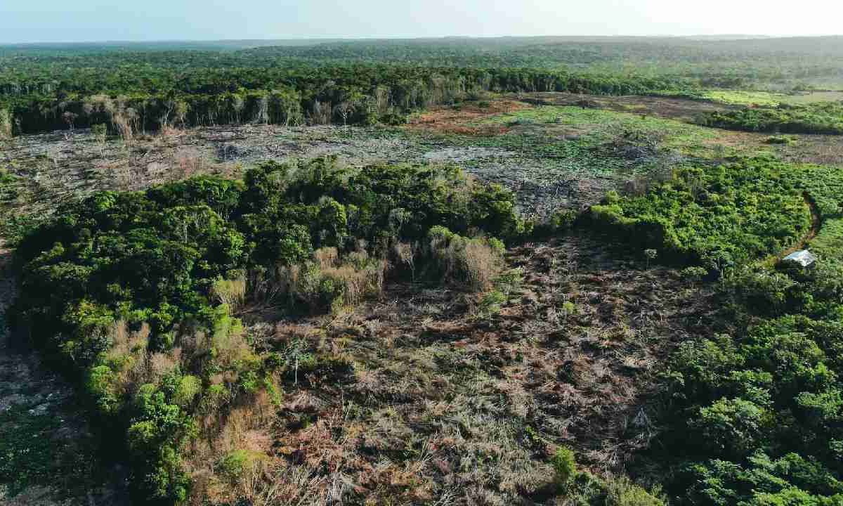 Denuncian daño ecológico en Bacalar.
